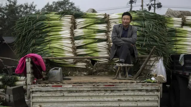 北京某菜市场内的大葱摊贩（14/10/2015）