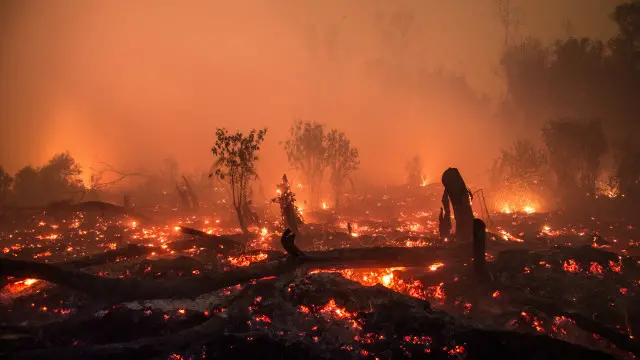 Pada puncak kebakaran hutan dan lahan, Indonesia mengeluarkan jumlah polusi yang sama seperti Amerika Serikat.