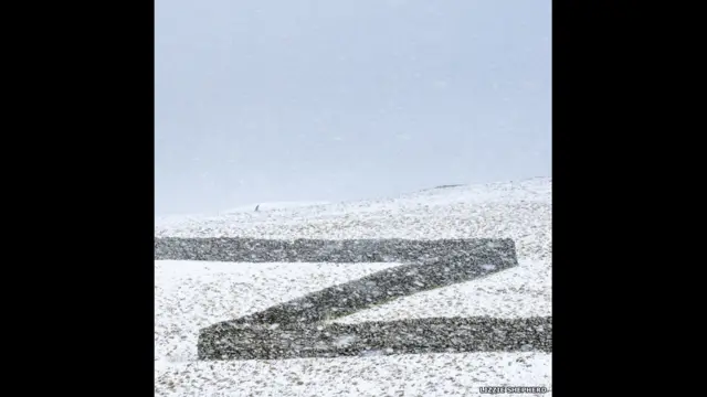 Karya Lizzie Shepherd