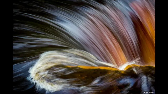 Yorkshire Dale oleh Bill Ward