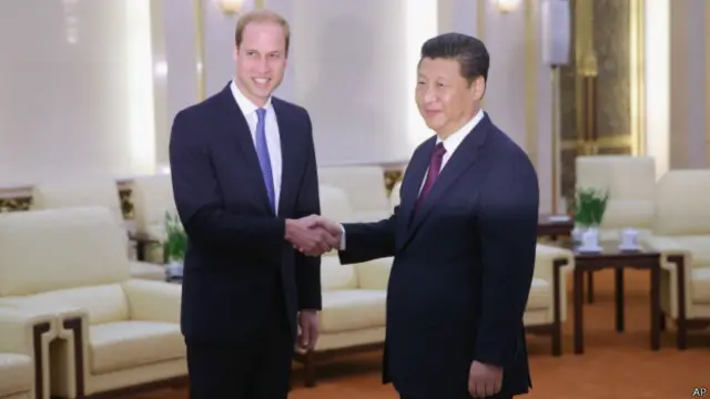 今年初，威廉王子在访问中国期间，曾在北京向习近平提到象牙走私问题。