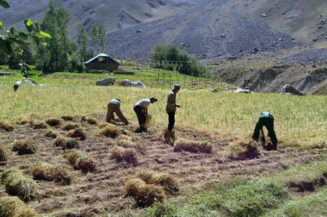 Фермеры на Памире