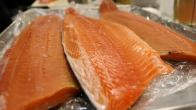 Salmon