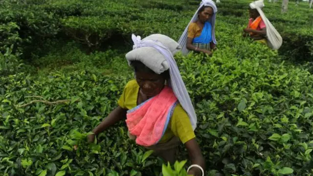 ان خواتین نے اپنے حقوق کے لیے خود آواز اٹھائی ہے