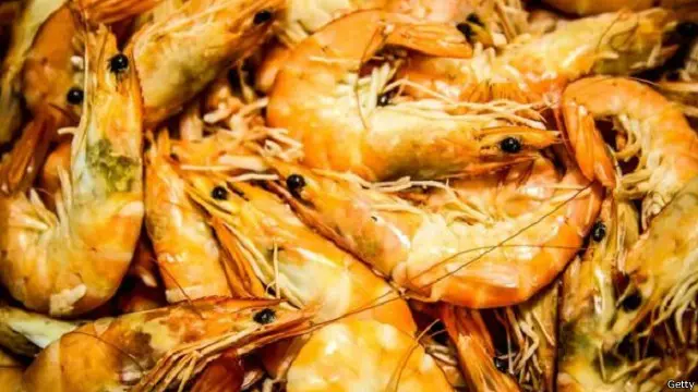 تركز مشروعات الأغذية على مزارع الأسماك.