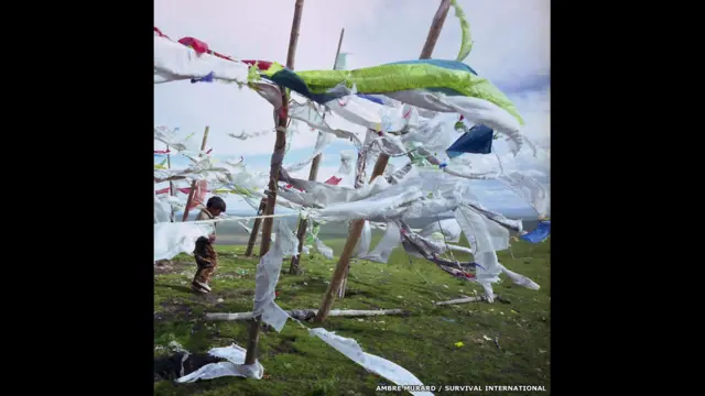 اس مقابلے میں شوقیہ اور پیشہ ور فوٹوگرافروں کو اپنی تصاویر بھیجنے کی اجازت تھی۔ اس مقابلے میں تین مختلف عنوانات کے تحت تصویریں بھیجنے کے لیے کہا گیا تھا۔ عنبر مراد نے تبت سے ایک لڑکے کی تصویر بھیجی جو عمدو صوبے میں دعائیہ پرچموں کے درمیان کھیل میں مشغول تھا۔