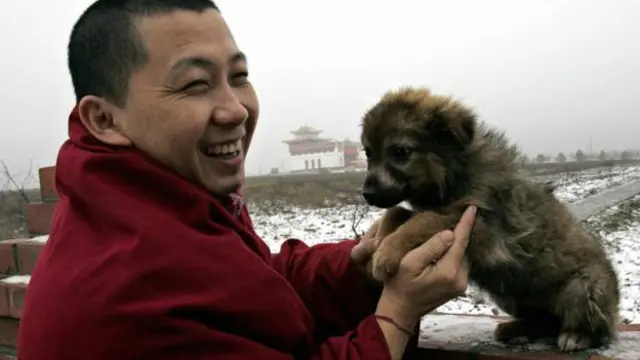 Собака - друг человека