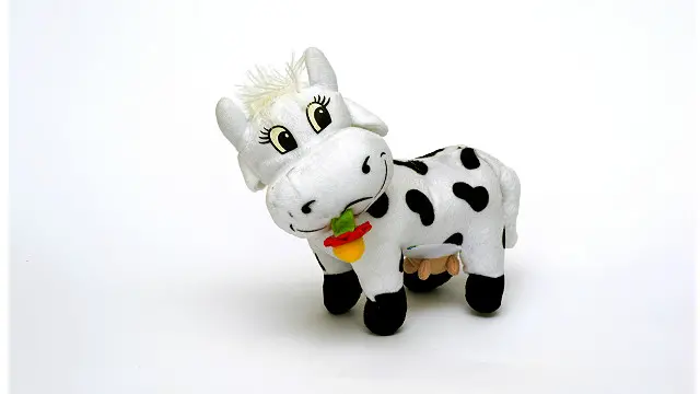 Що треба обов'язково прихопити на співбесіду?