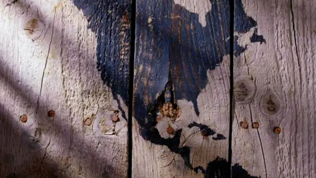 Un mapa de Centroamérica dibujado en el tronco de un árbol