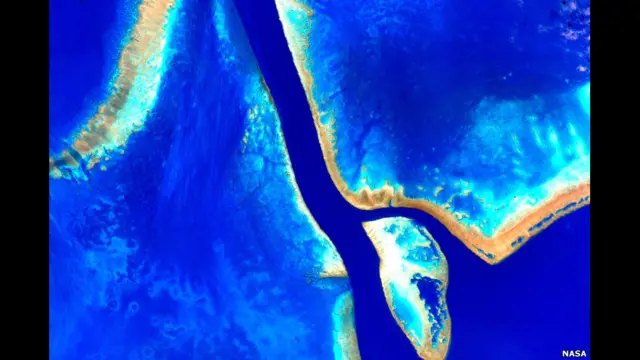 لدى سكوت كيلي اخ توأم، يُدعى مارك، سبق له أيضا العمل كرائد فضاء قبل ان يعتزل المهنة في عام 2011. وسيشارك الاثنان دراسة مقارنة: أحدهما في الفضاء والثاني على الأرض.