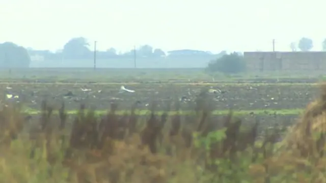 飛機墜毀在一片農田裏。緊急救援人員在墜機後很快趕赴出事現場。