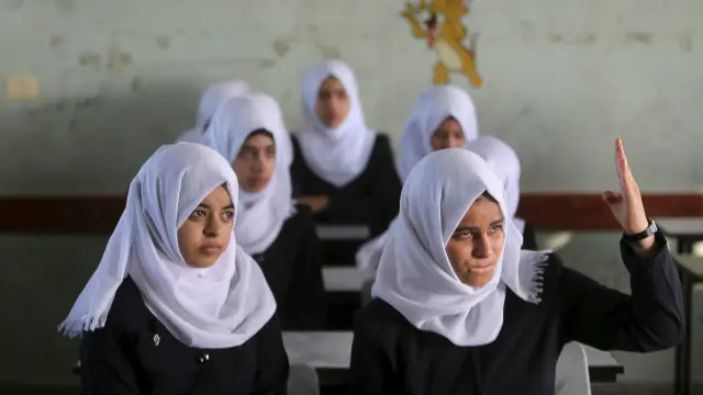 زعم السفير الإسرائيلي بالأمم المتحدة أن المدارس الفلسطينية تعلم التلاميذ كيف يطعنون اليهود.