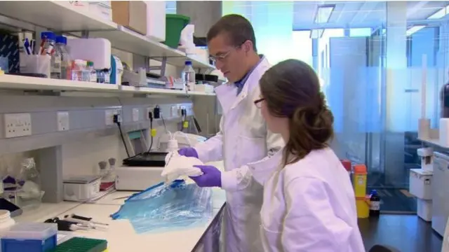 Os pesquisadores pediram que pessoas com e sem Parkinson usassem roupas brancas e, depois, testaram se Joy conseguia identificar quem tinha a doença