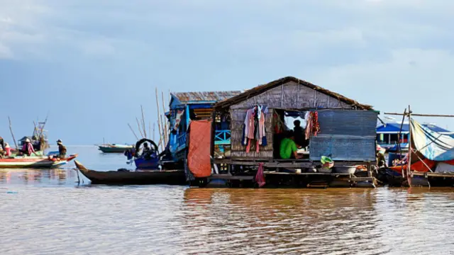 随波逐流(图片来源:Angela Altus)