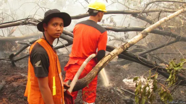 "Mereka tampak kelelahan," kata Jonathan. 