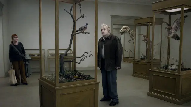 Голубь сидел на ветке, размышляя о бытии