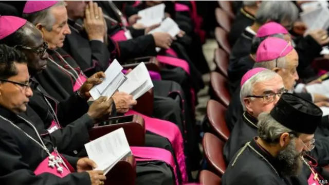 اگرچہ یہ دستاویز منظور شدہ ہے تاہم پوپ فرانسس فیصلہ کریں گے کہ اسے آگے لے کر جانا ہے یا نہیں