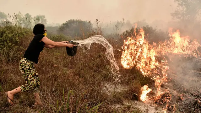 KLHK menyatakan bahwa pada 2015 adalah "untuk pertama kalinya" sanksi administratif terhadap perusahaan yang diduga membakar hutan dan lahan diberlakukan selain penuntutan hukum pidana dan perdata.