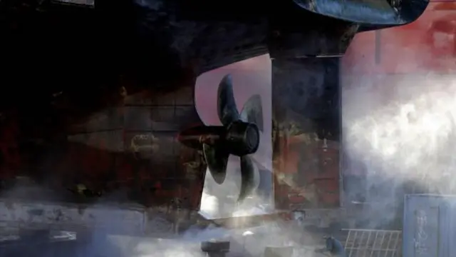 「我們從沒想過會殺死這些動物。」在談到船舶噪音和人類產生的其他噪音時，邁克爾·安德烈如是說 (圖片來源：Getty Images)