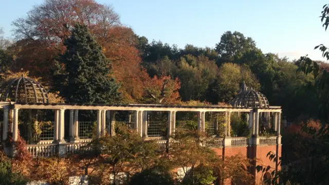 Парк осенью