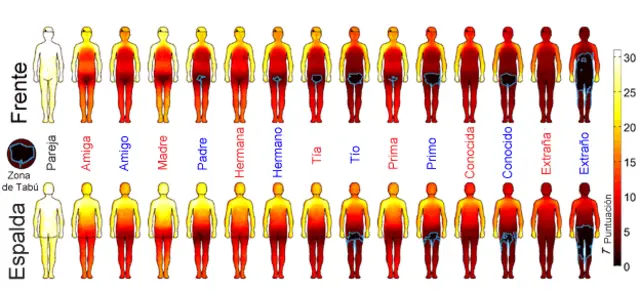 A 1,368 personas de ambos sexos se le mostraron imágenes del cuerpo para que marcaran las áreas del cuerpo donde se sentían cómodas con ser tocadas.
