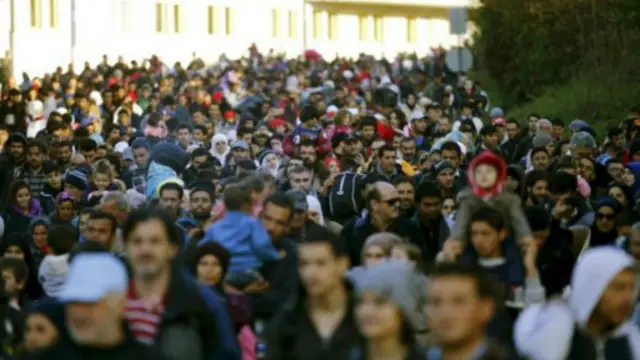 پناہ گزین میں سے زیادہ تر کا تعلق شام سے ہے