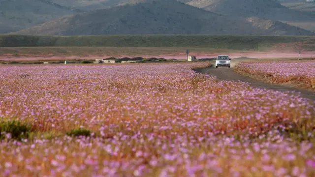 Desierto de Atacama