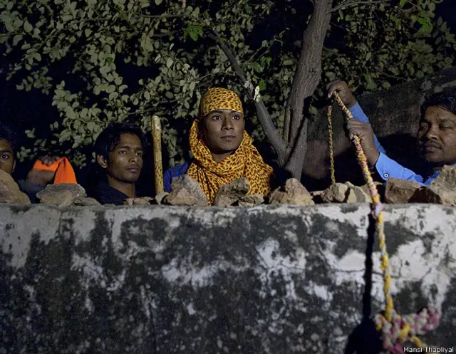 गोरक्षा दल