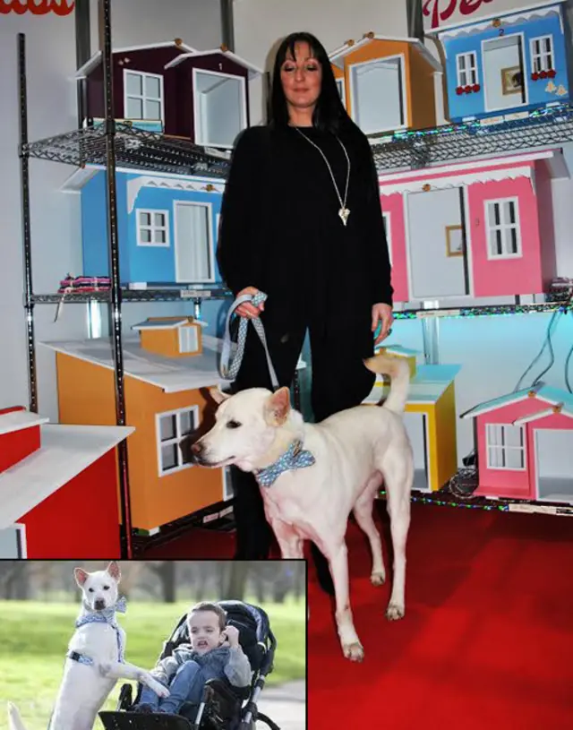 آماندا، کایل و معجزه