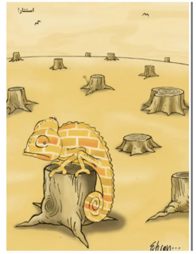 استتار - کارتون احسان گنجی، شهروند