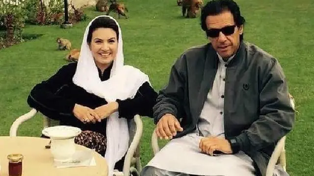 عمران خان اور ریحام خان نے رواں برس فروری میں شادی کی تھی