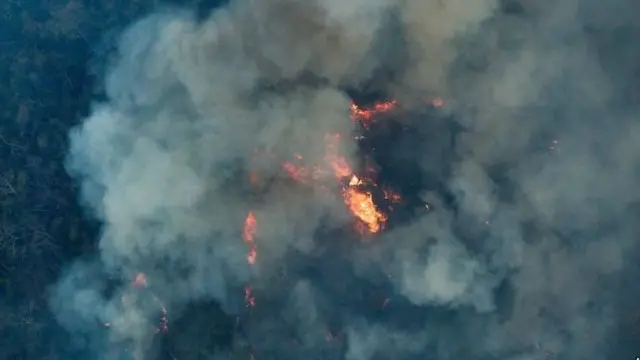 Luas lahan hutan Amazon yang terbakar mencapai 2000 kilometer persegi atau setara dengan luas 190.000 lapangan sepakbola. 
