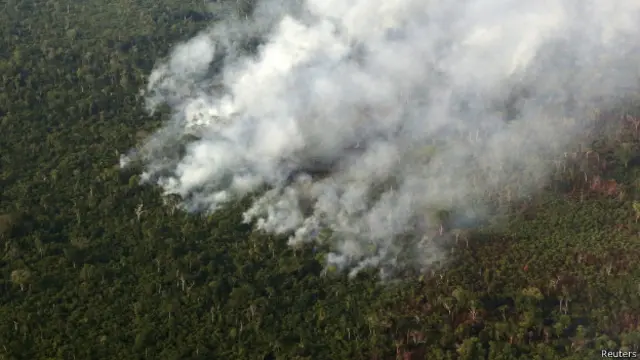 رواں سال برازیل میں ایمیزون کے جنگلات میں آگ لگنے کے 13000 سے زائد واقعات پیش آچکے ہیں
