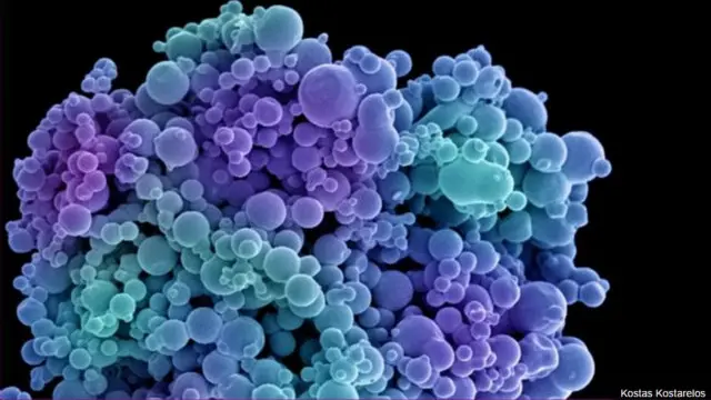 ماہرین کا کہنا ہے کہ یہ ٹیکنالوجی جو جانوروں پر تجربات میں کارآمد رہی ہے نینو میڈیسنز کے لیے ہولی گریل جیسا یعنی نہایت مقدس درجہ رکھتی ہے