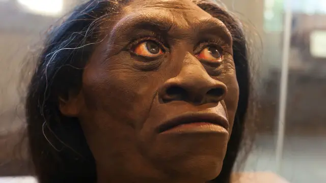 homo floresiensis