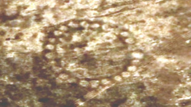 Foto: Digital Globe | Nasa