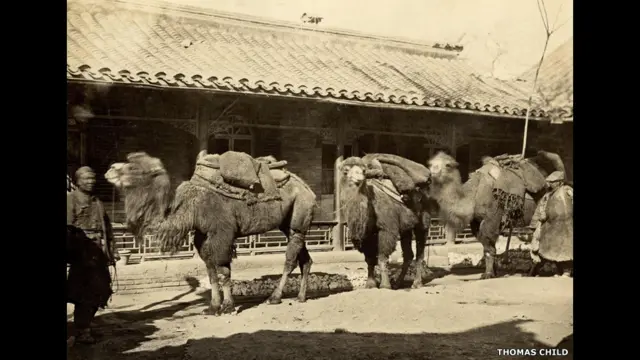 ٹامس چائلڈ کی نمبر 195، ’پیریڈ آف کیملز‘، 1870 کی دہائی