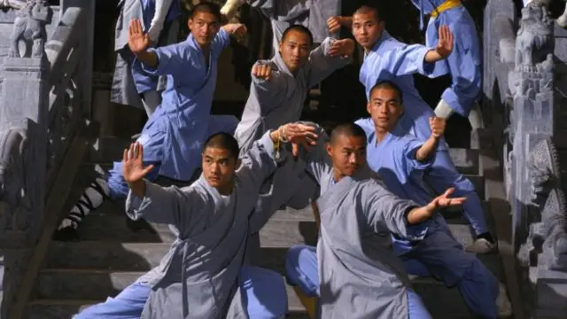 中国武术衍生出的诸多招式,其灵感均源于动物个体的某些特性(图片来源:HerveBruhat / Getty)