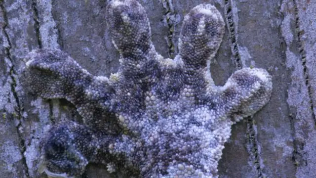 新型运动装备创新的灵感来源。(图片来源:Wolfgang Kaehler / Getty)