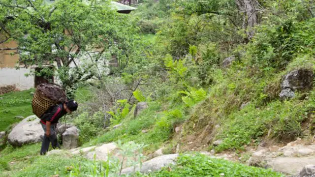 Горная тропа