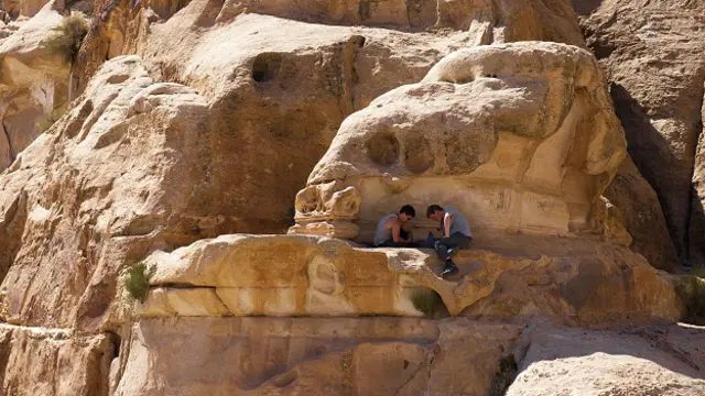 В поисках дров для ночного костра куда только не залезешь