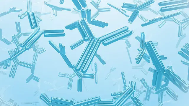 Імунна система в похилому віці виробляє менше антитіл і це може врятувати життя під час епідемії