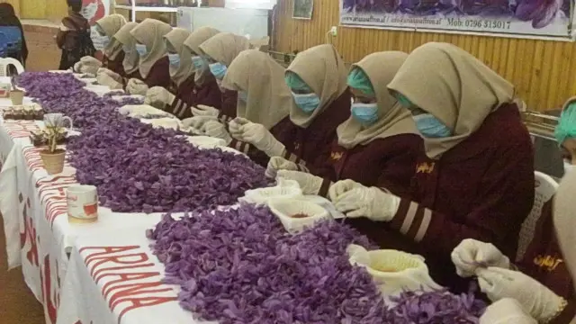 د هرات سیمه ییز چارواکي او د زعفرانو د تولید خصوصي شرکتونو مشران تمه لري، چې نړیوالو بازارونو ته د افغانستان د زعفرانو د لار موندنی زمینه برابره شي.