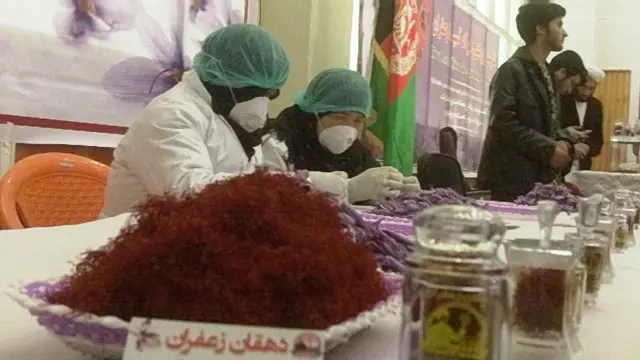 د اټکلونو له مخی، سږ کال به په هرات کې څه باندې ۴ ټنه زعفران تولید شی