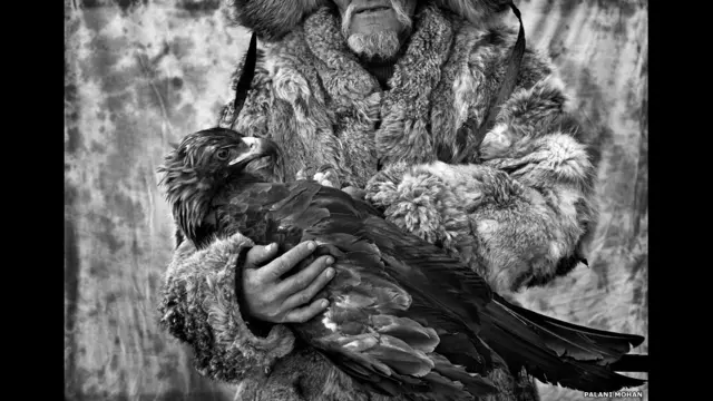 الصيد مع النسور لبالاني موهان