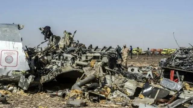 俄羅斯一架空客A-321型飛機10月31日在西奈半島上空發生空難,機上217名乘客和7名機組人員全部罹難。