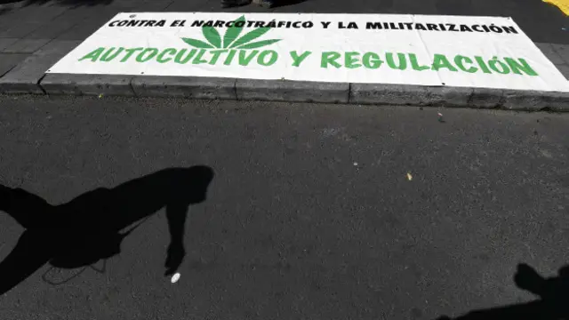 Carteles a favor de la legalización de la marihuana.