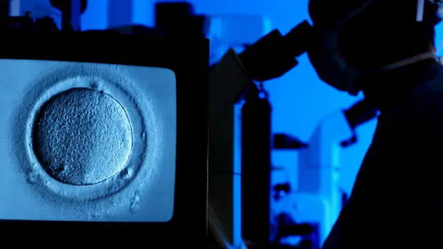 Исследователь