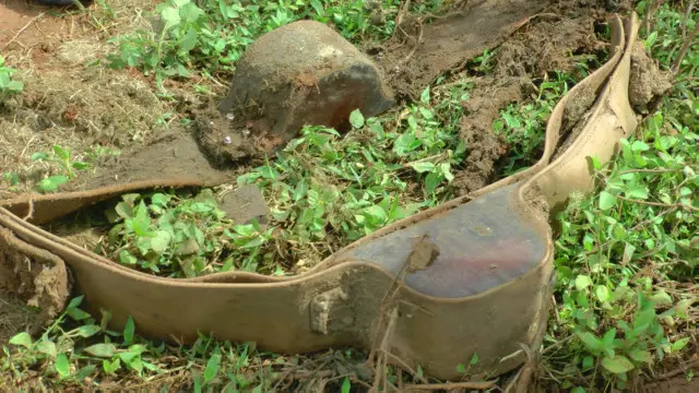 අලි ඇතුන් කරලන GPS කරපටය 