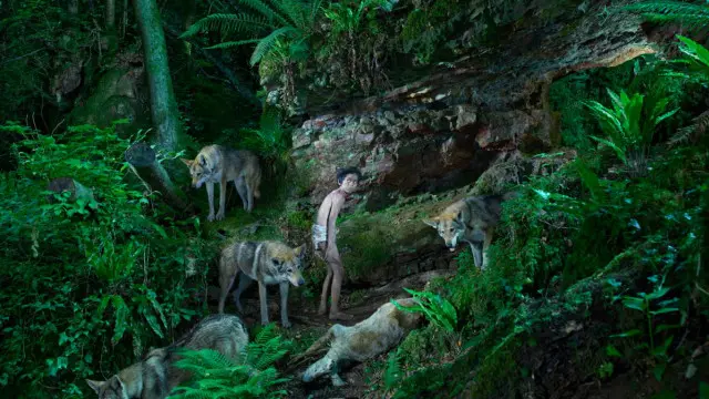 Shamdeo, India, 1972